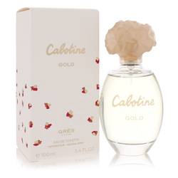 Cabotine Gold Eau De Toilette Spray By Parfums Gres 3.4 oz Eau De - Mein ShopChocolate MetisCabotine Gold Eau De Toilette Spray By Parfums Gres 3.4 oz Eau De